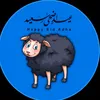 abood.ali198