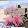 user4068421329013