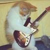 guitarguy872