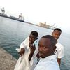 user441250256008