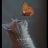 latifa.lachheb6