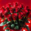la.rose7537