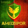 amedspor294