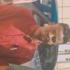 montasir1166