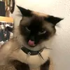 kyanzz_r
