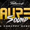 lscarbonmusic
