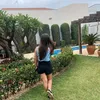 lisasurge