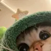 yuhan.abalos