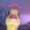 user7875991990555