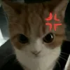 jenjen_34