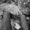 lipii_46