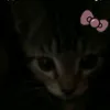 not_yours9613