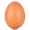 mr.egg236