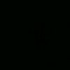 dani.zerr58