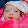 shba.ali7