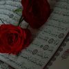 zehra___4339