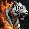 awaisahmad1411