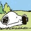 yxalwsleeping