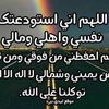 nawalfahmy69