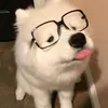 user1310006017000