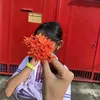 sofie_9230