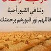 user8084154938158