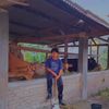 pewariskandangfarm