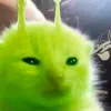 au_bybri