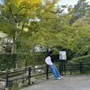 niriows_