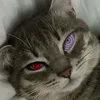 kurxxtt_