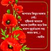 user9228131003366