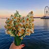 tahmid6258
