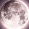 twomuse13