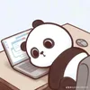 mr_usau