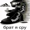 miss_trappa555