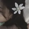 amina_okak