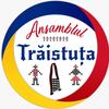 ansamblul.traistuta