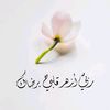 mohamed.mahmoud4656