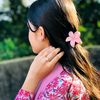 tanisha.tanjina7