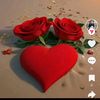 hamzahamzaali5124