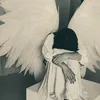 hellocaptainpolly