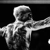 ufcbronx0