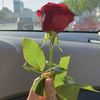 queenbisma74
