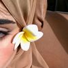 nasira6736