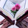 larin.wesam