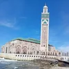 baldilhasnawi