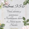 estelita.valdez20