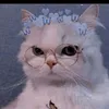 pxx_luizaa