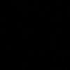 .pina_15