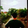 bangiky305